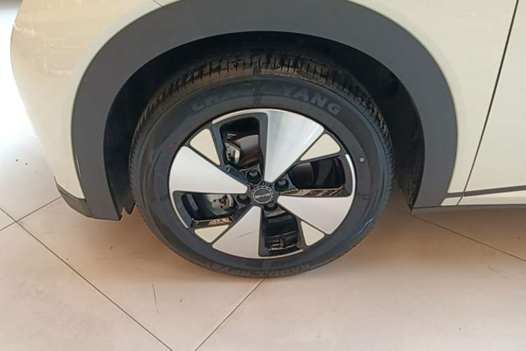 Used BYD Dolphin 2023 420 km Free Version Left Front Wheel Hub