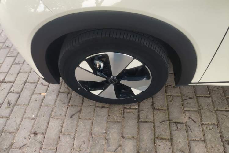 Used BYD Dolphin 2023 420 km Free Version Left Front Wheel Hub