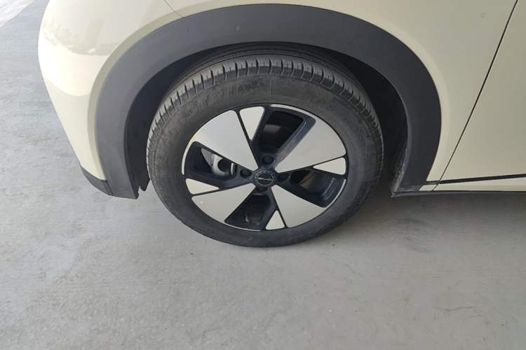 Used BYD Dolphin 2023 420 km Free Version Left Front Wheel Hub