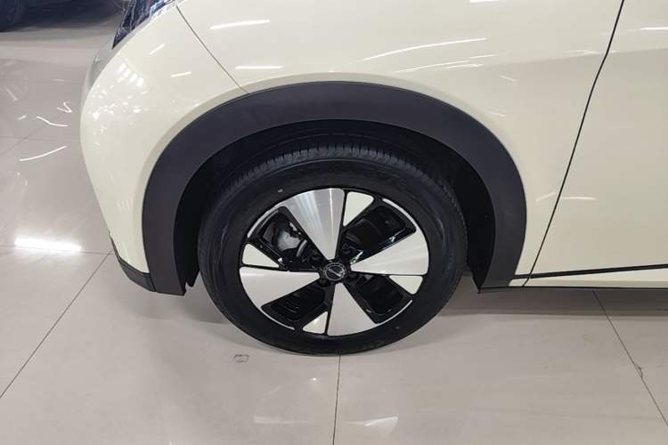 Used BYD Dolphin 2023 420 km Free Version Left Front Wheel Hub