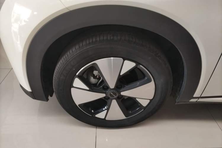 Used BYD Dolphin 2023 420 km Free Version Left Front Wheel Hub