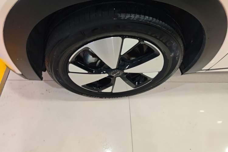 Used BYD Dolphin 2023 420 km Free Version Left Front Wheel Hub