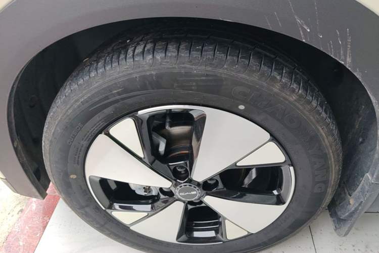 Used BYD Dolphin 2023 420 km Free Version Left Front Wheel Hub