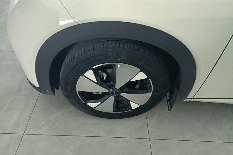 Used BYD Dolphin 2023 420 km Free Version Left Front Wheel Hub