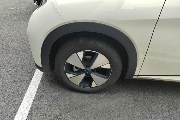 Used BYD Dolphin 2023 420 km Fashion Edition Left Front Wheel Hub