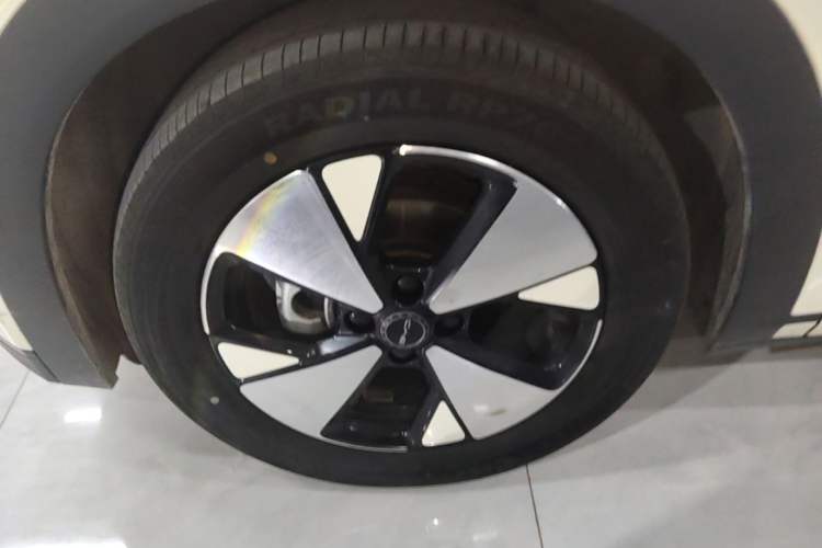Used BYD Dolphin 2023 420 km Fashion Edition Left Front Wheel Hub