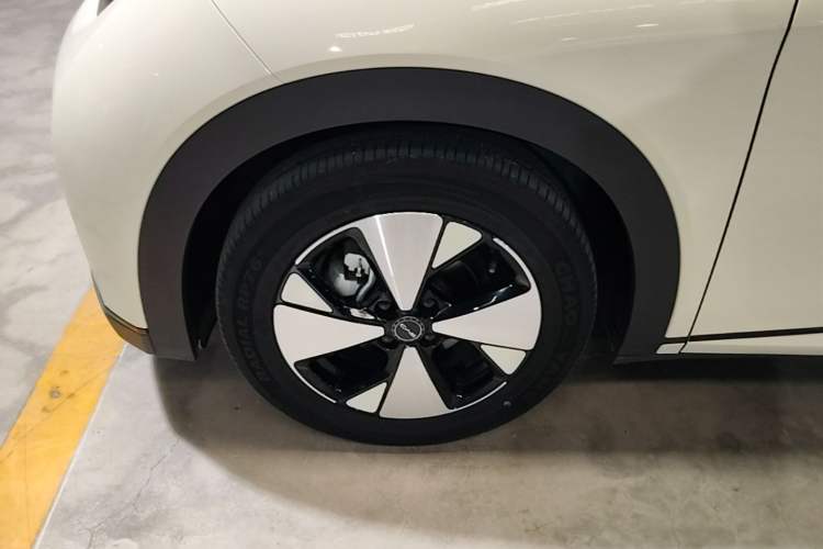 Used BYD Dolphin 2023 420 km Fashion Edition Left Front Wheel Hub