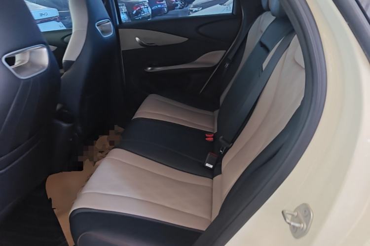 Used BYD Dolphin 2023 420 km Fashion Edition Left Rear Seat