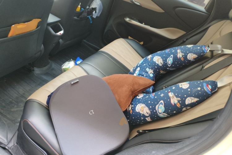 Used BYD Dolphin 2023 420 km Fashion Edition Left Rear Seat