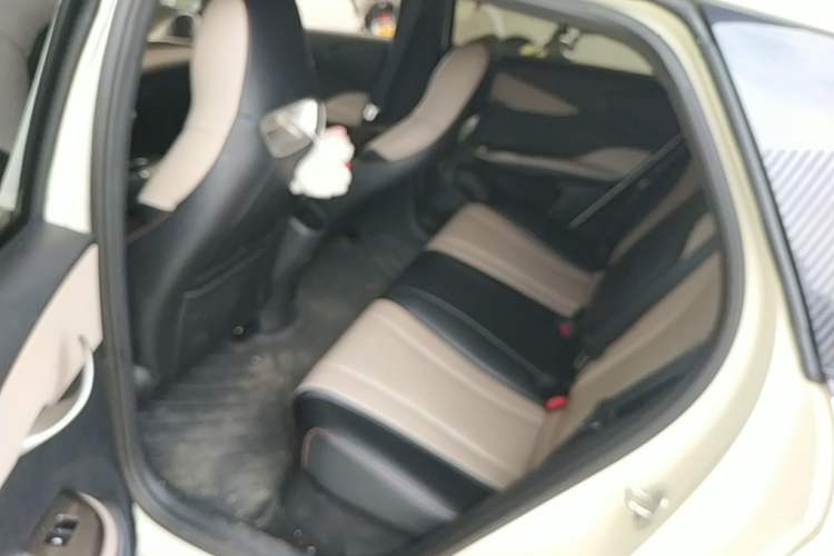 Used BYD Dolphin 2023 420 km Free Version Left Rear Seat