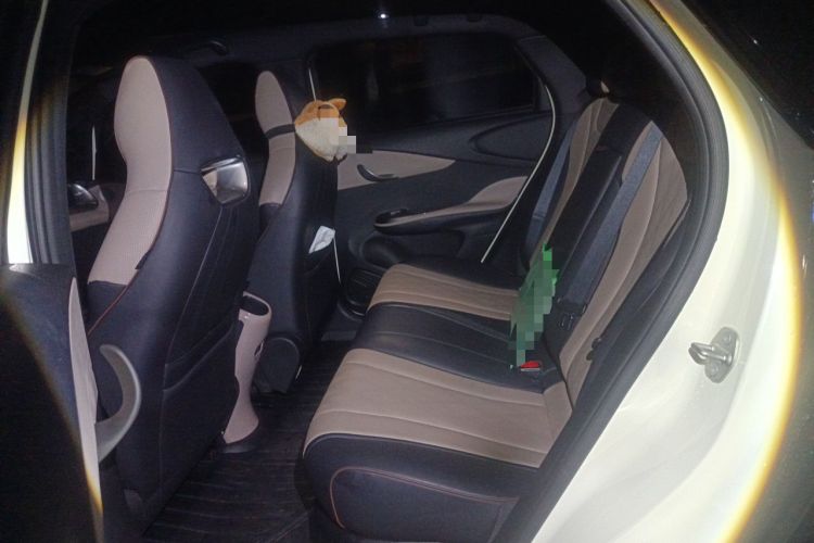 Used BYD Dolphin 2023 420 km Fashion Edition Left Rear Seat