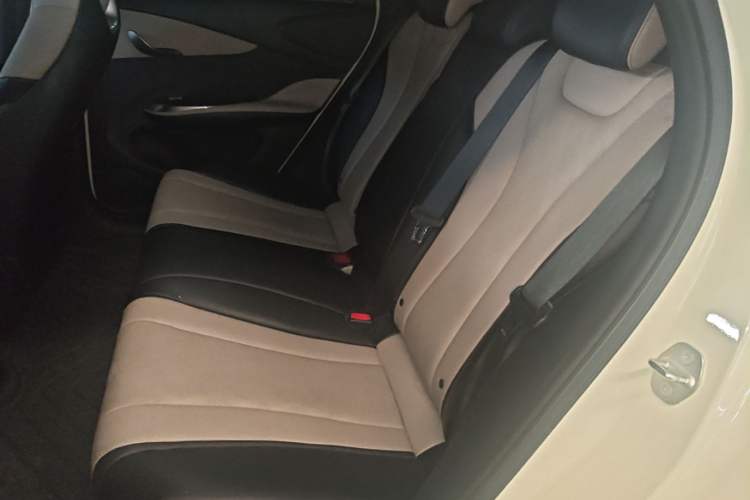 Used BYD Dolphin 2023 420 km Free Version Left Rear Seat