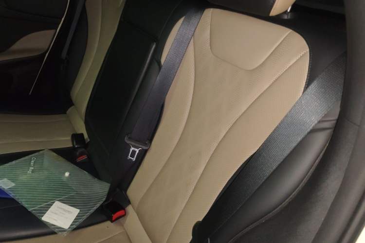 Used BYD Dolphin 2023 420 km Fashion Edition Left Rear Seat