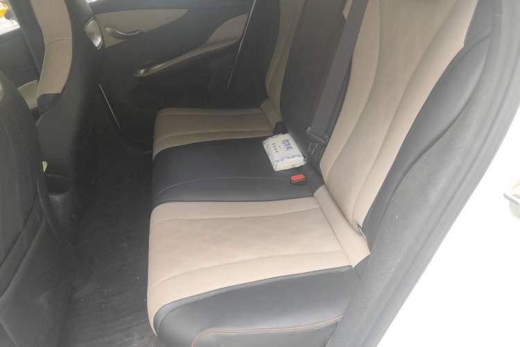 Used BYD Dolphin 2023 420 km Fashion Edition Left Rear Seat
