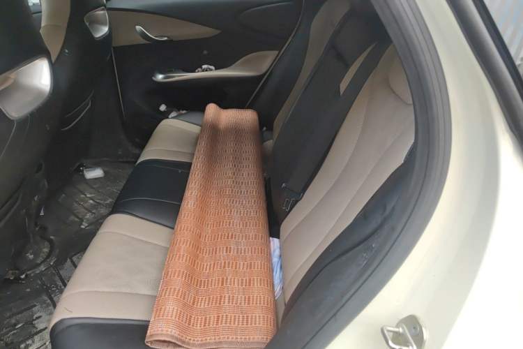 Used BYD Dolphin 2023 420 km Fashion Edition Left Rear Seat