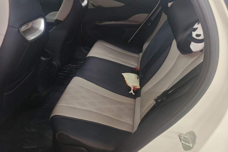Used BYD Dolphin 2023 420 km Fashion Edition Left Rear Seat