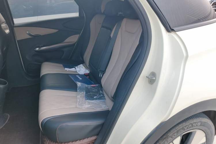 Used BYD Dolphin 2023 420 km Fashion Edition Left Rear Seat