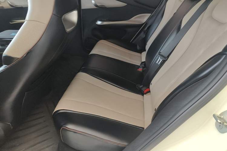 Used BYD Dolphin 2023 420 km Free Version Left Rear Seat