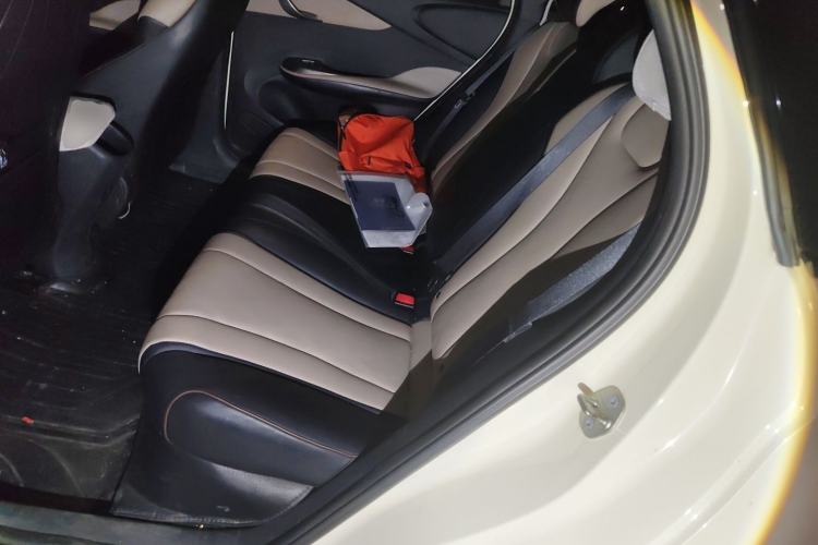 Used BYD Dolphin 2023 420 km Free Version Left Rear Seat