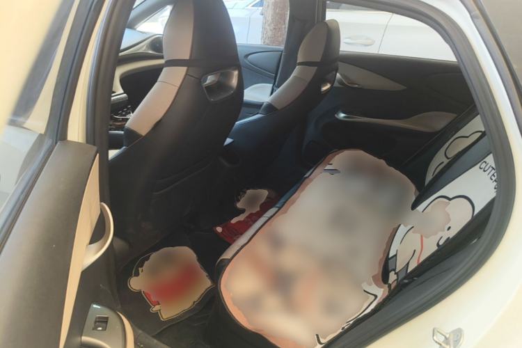 Used BYD Dolphin 2023 420 km Free Version Left Rear Seat
