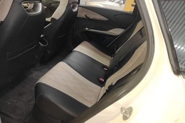 Used BYD Dolphin 2023 420 km Fashion Edition Left Rear Seat