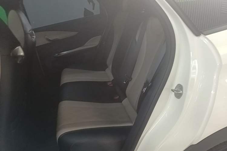 Used BYD Dolphin 2023 420 km Fashion Edition Left Rear Seat