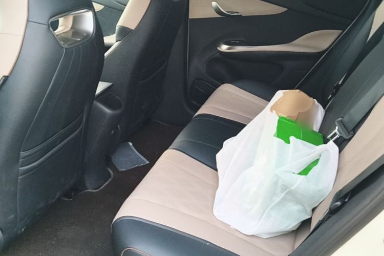 Used BYD Dolphin 2023 420 km Free Version Left Rear Seat