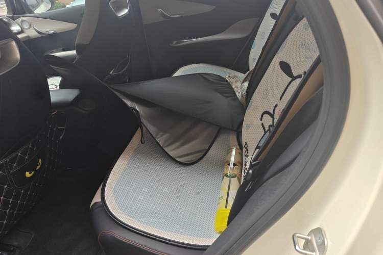 Used BYD Dolphin 2023 420 km Fashion Edition Left Rear Seat