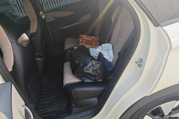 Used BYD Dolphin 2023 420 km Free Version Left Rear Seat