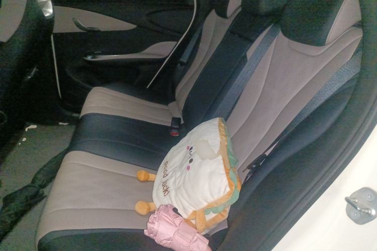 Used BYD Dolphin 2023 420 km Fashion Edition Left Rear Seat