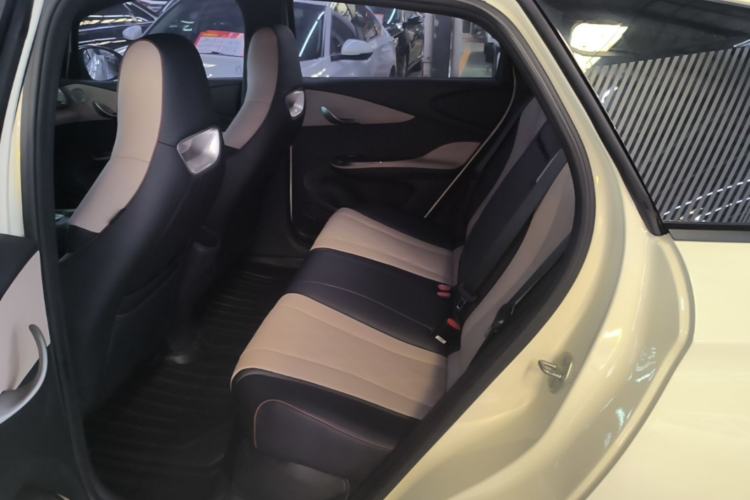 Used BYD Dolphin 2023 420 km Fashion Edition Left Rear Seat