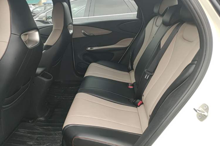 Used BYD Dolphin 2023 420 km Free Version Left Rear Seat