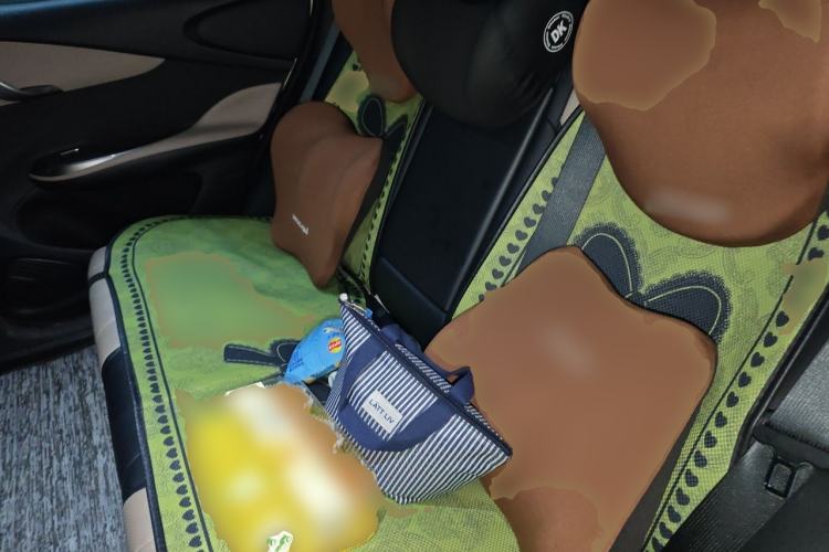 Used BYD Dolphin 2023 420 km Fashion Edition Left Rear Seat