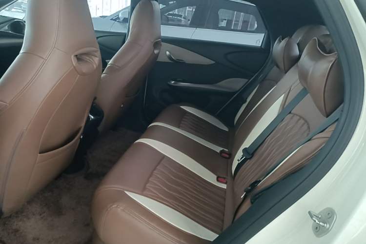 Used BYD Dolphin 2023 420 km Free Version Left Rear Seat