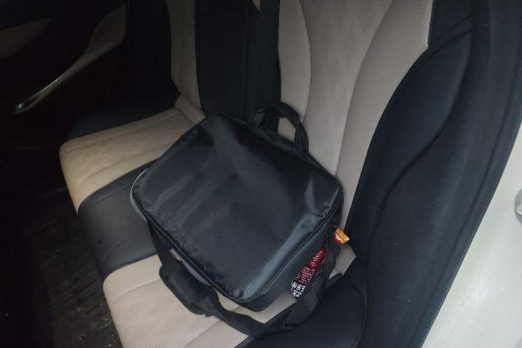 Used BYD Dolphin 2023 420 km Fashion Edition Left Rear Seat