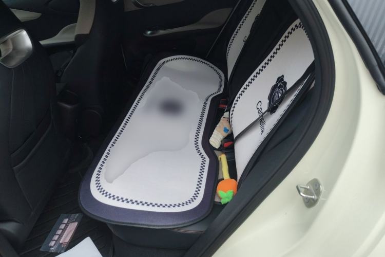 Used BYD Dolphin 2023 420 km Fashion Edition Left Rear Seat
