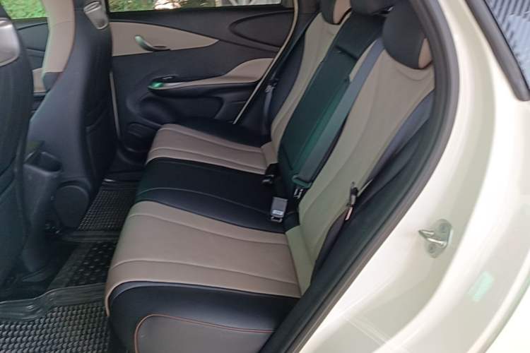 Used BYD Dolphin 2023 420 km Fashion Edition Left Rear Seat