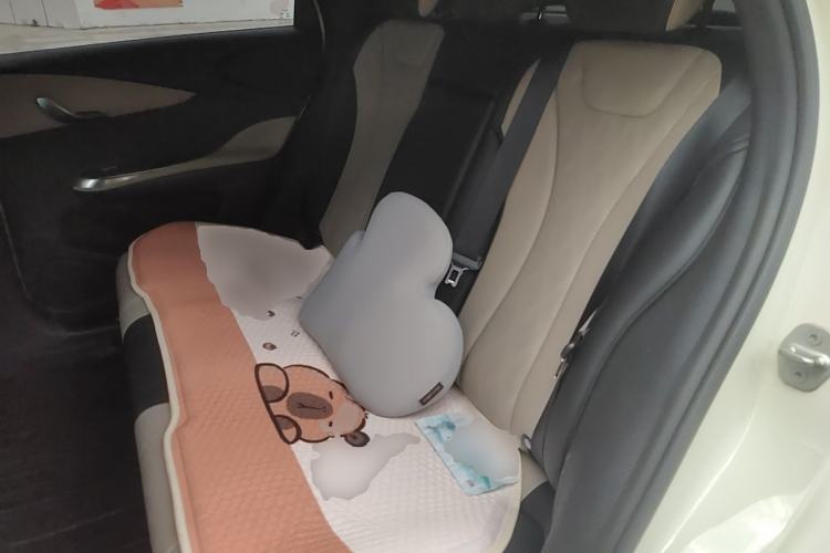 Used BYD Dolphin 2023 420 km Fashion Edition Left Rear Seat