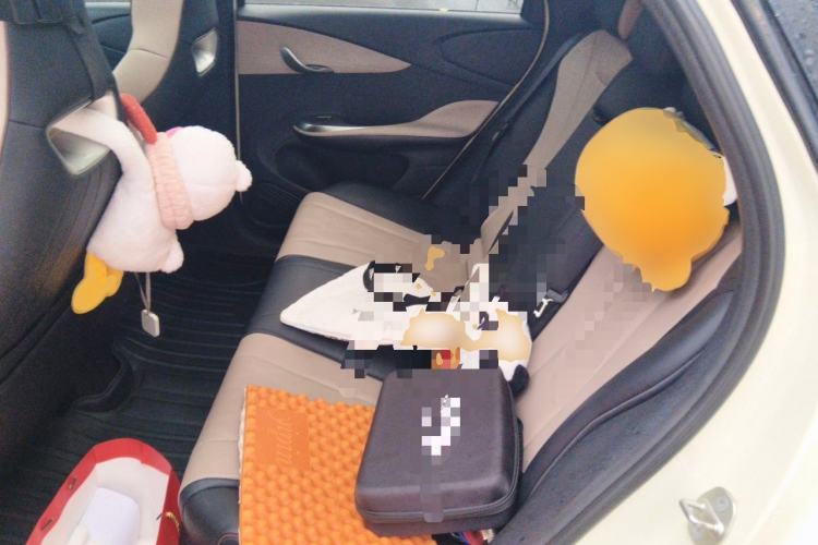 Used BYD Dolphin 2023 420 km Fashion Edition Left Rear Seat