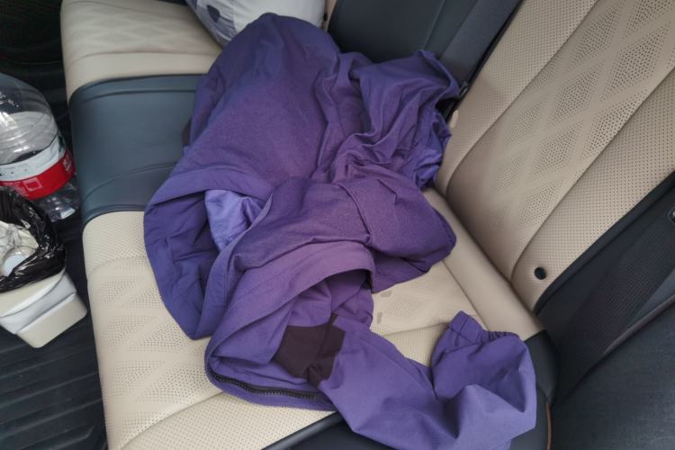 Used BYD Dolphin 2023 420 km Free Version Left Rear Seat