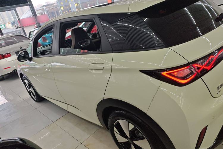 Used BYD Dolphin 2023 420 km Fashion Edition Left Side