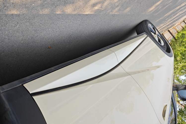 Used BYD Dolphin 2023 420 km Fashion Edition Left Side Sill