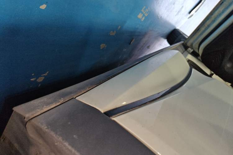 Used BYD Dolphin 2023 420 km Fashion Edition Left Side Sill