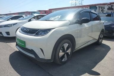 Used BYD Dolphin 2023 420 km Free Version