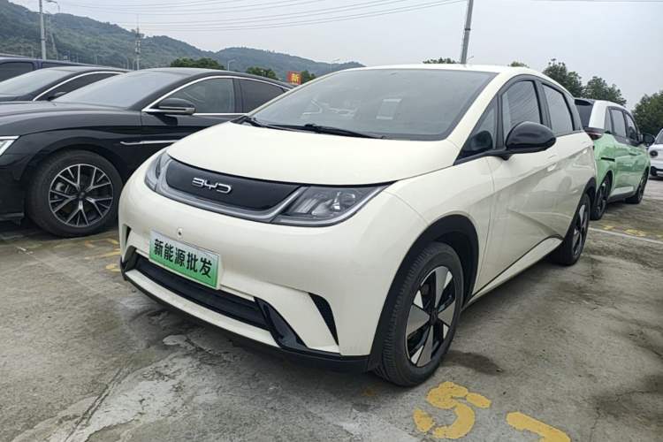 Used BYD Dolphin 2023 420 km Free Version Guazi used car, China used car export, Used car for sale, Used  cars, Cheapest cars for sale