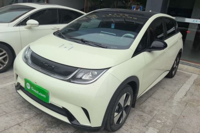 Used BYD Dolphin 2023 420 km Free Version