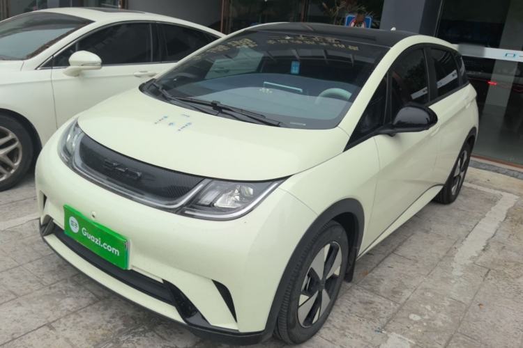Used BYD Dolphin 2023 420 km Free Version Guazi used car, China used car export, Used car for sale, Used  cars, Cheapest cars for sale