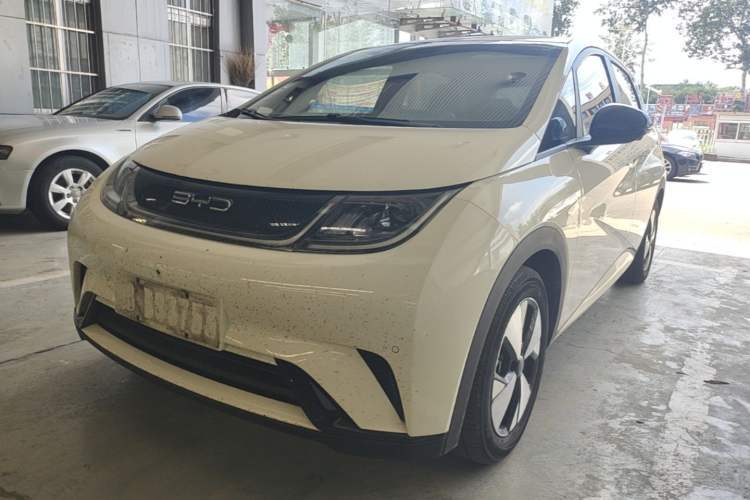 Used BYD Dolphin 2023 420 km Fashion Edition Guazi used car, China used car export, Used car for sale, Used cars, Cheapest cars for sale
