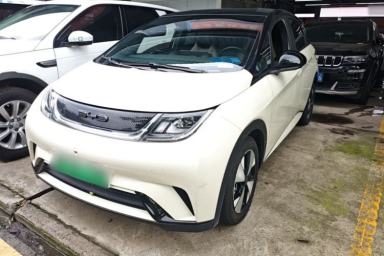 Used BYD Dolphin 2023 420 km Free Version