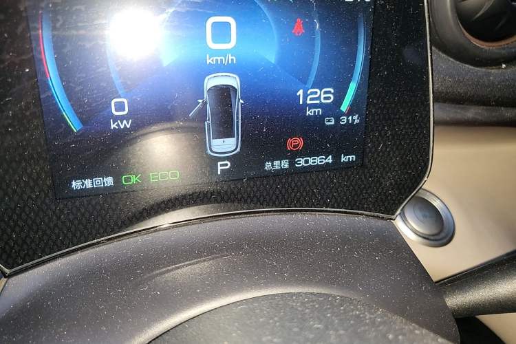 Used BYD Dolphin 2023 420 km Fashion Edition Odometer Close Up